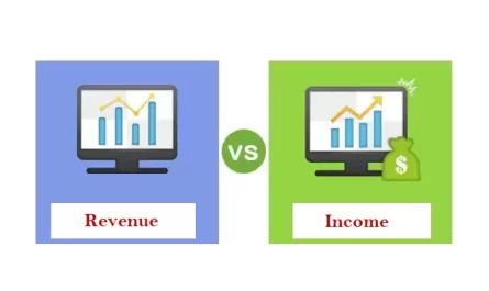 Revenue vs Income